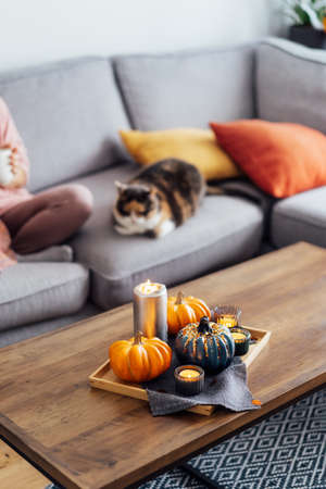 Autumn, fall cozy mood composition for hygge home decor. Small pumpkins, burning candles on tray with gray napkin on the coffee table with resting woman with cat in the living room. Selective focusの写真素材