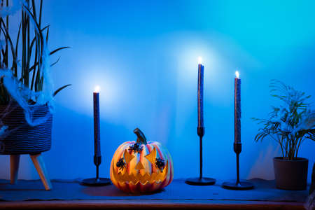 Halloween pumpkin Jack-o-lantern, black candles and decorated home plants standing on modern wooden cabinet in neon blue light. Seasonal living room interior decoration for holidays and festive party.の写真素材