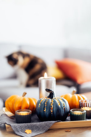 Autumn, fall cozy mood composition for hygge home decor. Pumpkins, burning candles on tray on the coffee table with cat on the couch on the background in the living room. Vertical. Selective focusの写真素材