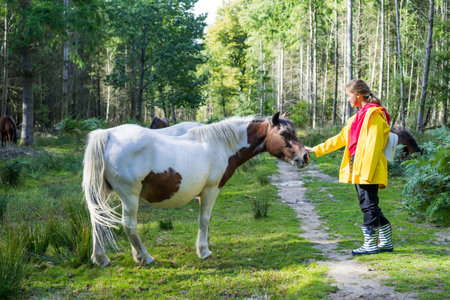 Young smiling woman in a bright yellow raincoat stroking a beautiful wild white horse walking in the forest during the sunny autumn or spring day. Relax on nature. Selective focus.の写真素材