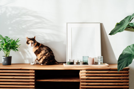 Modern minimalist style interior with white poster mockup, candles and relaxed cat on a wooden console with tropical green home plants under sunlight and shadows on a gray wall. Selective focusの写真素材