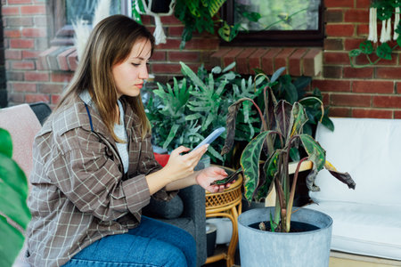 Young woman taking picture on phone of dried, sunburn leaf of potted plant Calathea. Houseplants diseases. Disorders Identification and Treatment search. Home gardening mobile app. Selective focus.の写真素材