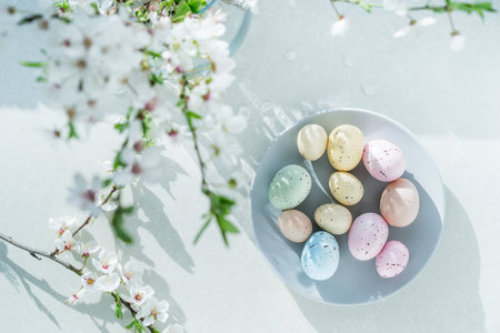 Top view colored easter eggs on the gray plate, blooming tree branch in vase and flower petals on...
