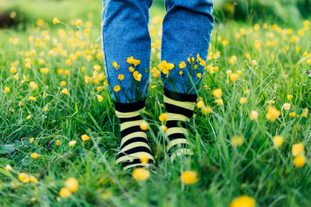 Close up female feet wearing jeans and striped black and yellow socks with flowers inside standing on the green grass of blooming meadow. Concept of bee protection, bloom season, art, creativityの写真素材