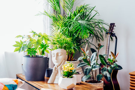 Concrete decorative pot in the form of a womans head on a coffee table with various different green home plants with day light. Home gardening, urban jungle, biophilic home design.Selective focus.の写真素材