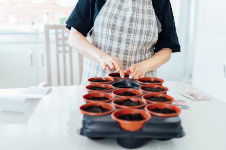 Close up woman planting seeds in pots at home kitchen. Preparing for new kitchen garden season. Sowing seeds. Urban farming lifestyle. Growing organic vegetables in green house. Soft selective focus.の写真素材