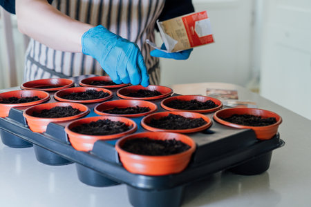 No Face woman planting seeds in pots at home kitchen. Preparing for new kitchen garden season. Sowing seeds. Urban farming lifestyle. Growing organic vegetables in green house. Soft selective focus.の写真素材