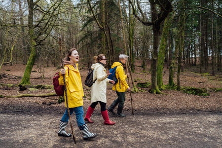 Group of friends walking with backpacks in forest. Trekking travel in adventure lifestyle, nature hiking in vacation holiday with journey. Tourism, hiking, and friendship concept. Outdoor activities.の写真素材