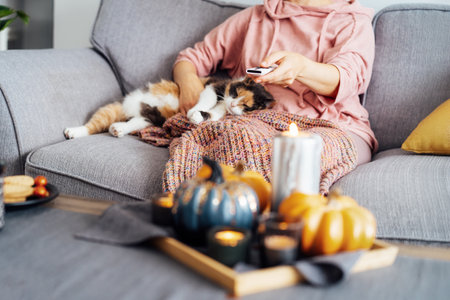 No face woman with plaid selecting movie with remote controller and stroking multicolored cat pet on the sofa. Movie night party at home with sweets and hot drinks. Cozy relax time. Selective focus.の写真素材
