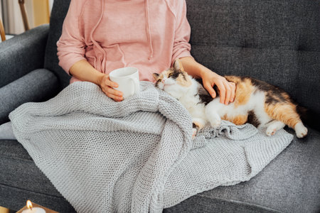 No face woman in plaid drinking hot tea, petting a relaxed cat on the sofa at home. Cozy and comfortable winter or autumn weekend. Pleasant ways to keep warm. Take a break and relax. Selective focus.の写真素材