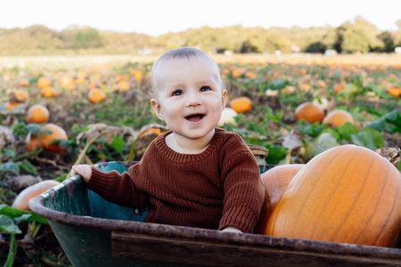 Cute baby joyfully sitting in wheelbarrow with pumpkins on pumpkin patch. Selecting best pumpkins for Thanksgiving and Halloween holidays decoration on farm. Pumpkin harvest. Autumn fall festive moodの写真素材
