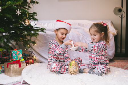 Children in festive pajamas excitedly explore a jar of holiday treats beside a decorated Christmas tree during the festive season. Joyful siblings sit on cozy rug, getting into jar filled with sweets.の写真素材