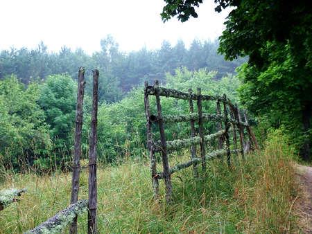 fence and the roadの写真素材