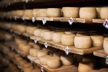 Cow milk cheese, stored in a wooden shelves and left to mature