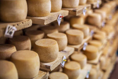 Cow milk cheese, stored in a wooden shelves and left to matureの写真素材