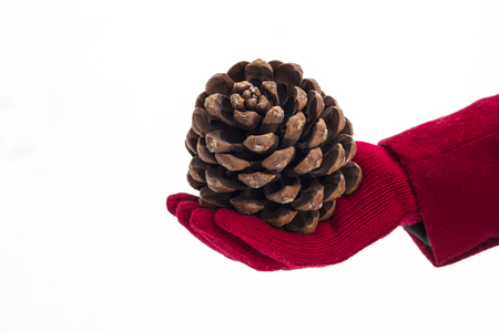 Girl in red mittens holding a pine cone on a white snow backgroundの写真素材