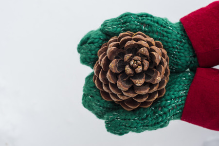 Christmas background. Girl in green mittens and a red coat holding a pine cone on white snow...