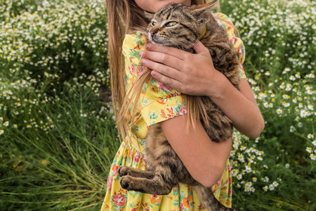 Best friends. A little girl in a yellow dress is holding a tabby catの写真素材
