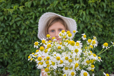 Beautiful little girl in a white hat and with a bouquet of daisies on green vine leaves backgroundの写真素材