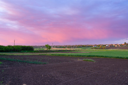 A panoramic view of a pink and purple sunset in a countryside in Ukraine.