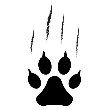Animal paw print silhouette with claw marks, scratches, talons cuts cat, tiger, dog, lion, monster isolated on white background. Design for animal print, banner, poster. Vector illのイラスト素材