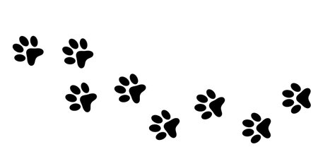 Dog paws. Animal paw prints, vector different animals footprints black on white illustration. Dog, puppy silhouette animal diagonal tracks.のイラスト素材