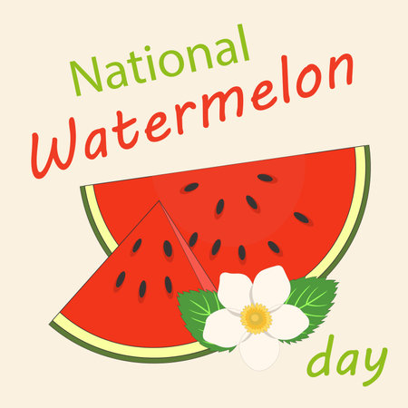 National watermelon day. National Watermelon Day on 03 August Banner Background. Horizontal Banner Template Designのイラスト素材