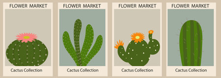 Set of abstract contemporary aesthetic Flower Market posters. Trendy botanical wall arts with cactuses design in bright colors. Modern naive funky interior decorations. Boho vectorのイラスト素材