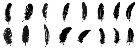 Collection of Black Feather Silhouettes. Hand drawing vintage art realistic quill feathers. Vector Illustration Featuring Various Feather Shapes for Decorative Design, Nature Themeのイラスト素材