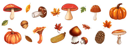 Autumn forest hand drawn Mushrooms, Pumpkins, Leaves, Acorns, and Corn on White Background. Autumn nature season. Vector botanical elements. Design for collage, poster, banner, carのイラスト素材
