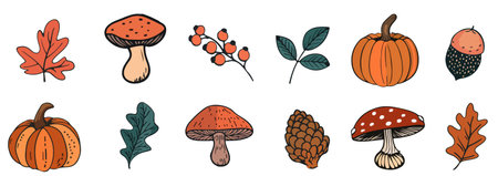 Hand drawn autumn elements collection. Leaves, mushrooms, maple, acorns, berries, oak, cone, pumpkin. Harvest season. Modern trendy illustration. Autumn floral stickersのイラスト素材