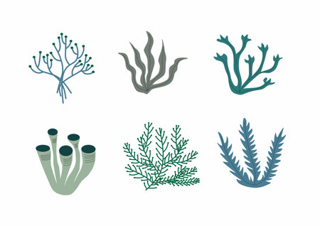 Vector hand drawn coral pack. Underwater seaweeds. Collection. Isolated on white backgroundのイラスト素材