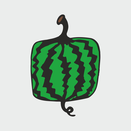 Whole Watermelon. Water Melon. Watermelon vector illustration. Isolated on a gray background. Doodle iconのイラスト素材