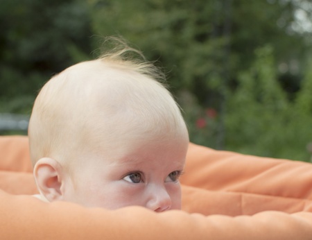 The baby looks out of a carriage の写真素材