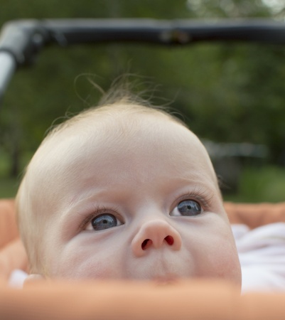 The baby looks out of a carriage の写真素材