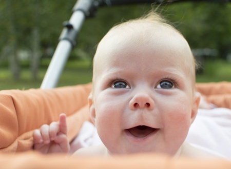 The baby looks out of a carriage の写真素材