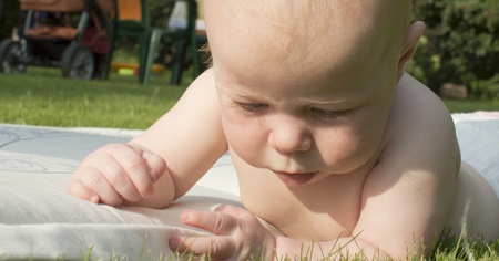 The baby lies on a grass and attentively studies it の写真素材