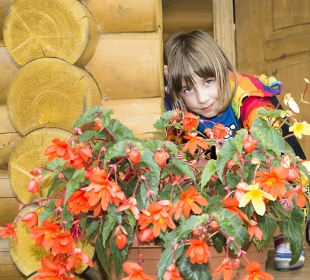The girl is photographed on a balcony of the wooden house with flowers of a begonia の写真素材