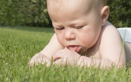 The baby lies on a grass and attentively studies it の写真素材