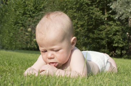 The baby lies on a grass and attentively studies it の写真素材