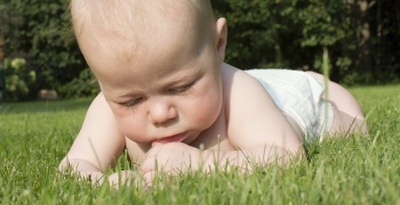 The baby lies on a grass and attentively studies it の写真素材