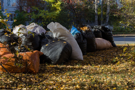 bags with fallen leaves along the road in October in the fallの写真素材