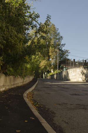 asphalt road with trees in the city on a hillockの写真素材