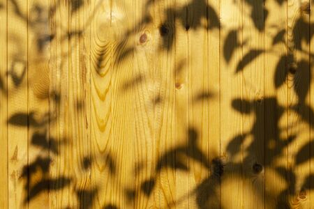 Wall of boards painted with light varnish. The shadow of the leaves. Background.