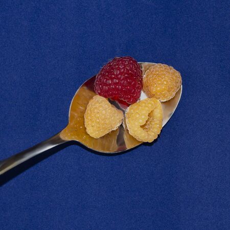 One red raspberry and three yellow raspberries on a spoon on a blue background.の写真素材