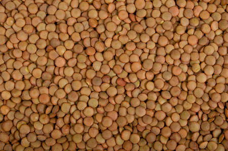 Background, texture from cereals of red lentils