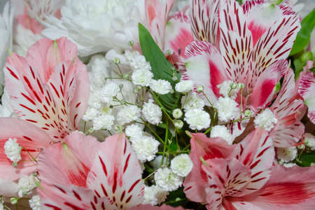 Bouquet of pink alstroemeria, white gypsophila, white chrysanthemum and green leaves and budsの写真素材