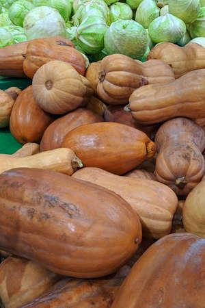 Pumpkins and cabbage on the market at the counterの写真素材
