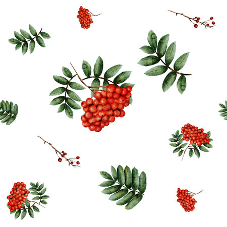 Seamless pattern with juicy red watercolor rowan berries and green sprigs. Hand drawn, repeating pattern on white background for textiles, wallpaper, tableware or any design.の写真素材