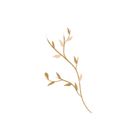 The twig is dry, with a golden texture, autumnal. Hand drawn watercolor illustration. Isolated on a white background. Part of a tree. For cards, backgrounds, decorations, scrapbooking, fabric printingの写真素材